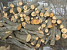 купити дрова метровий кругляк дуб граб ясен Луцьк